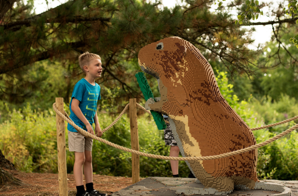 Don't miss your chance to go on our LEGO® Brick Wetland Safari 